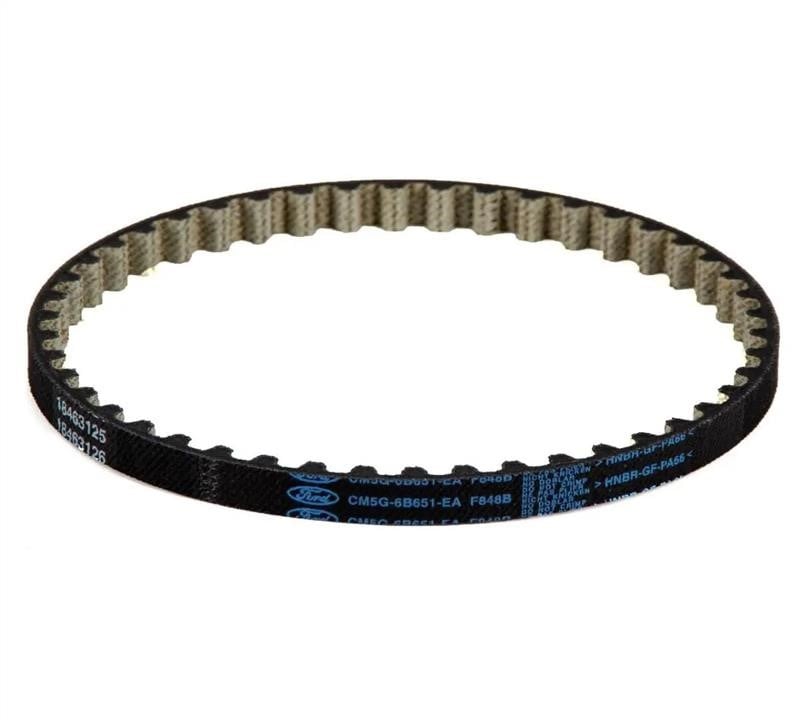 Engine lubrication system Ford Fiesta: 1761082 Ford Oil pump belt