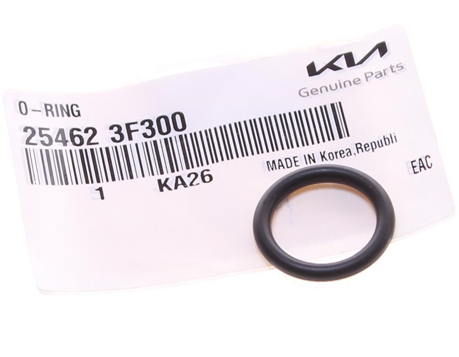 Buy Hyundai/Kia 25462 3F300 at a low price in United Arab Emirates!