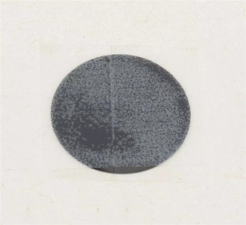 7719176F00 Suzuki Label
