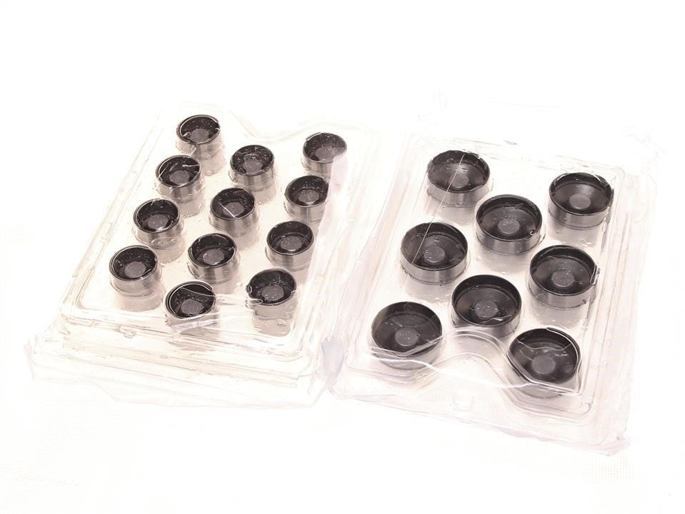 B18959 Borsehung Hydraulic Lifter set