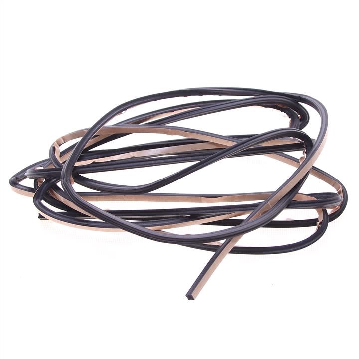 9099891004 Toyota Weatherstrip