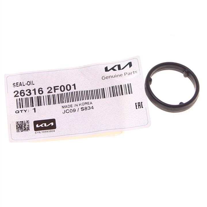 Buy Hyundai/Kia 26316 2F001 at a low price in United Arab Emirates!