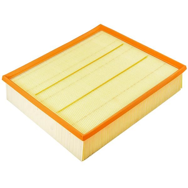 13717713428 BMW Air filter