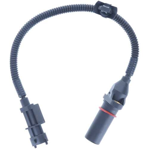 Buy MotoRad 1KR310 at a low price in United Arab Emirates!
