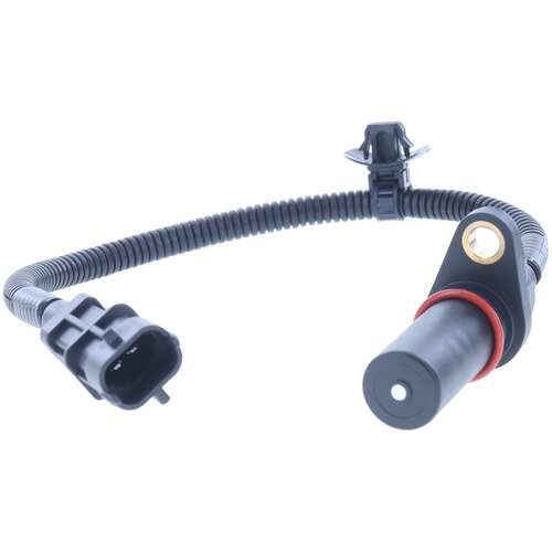Buy MotoRad 1KR310 at a low price in United Arab Emirates!