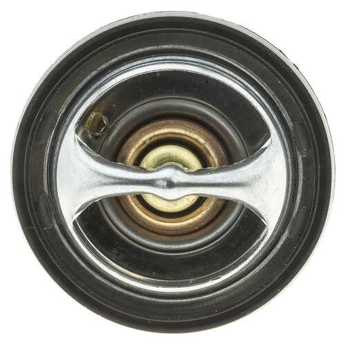 Buy MotoRad 483-91K at a low price in United Arab Emirates!