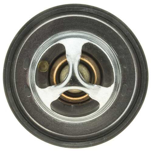 Buy MotoRad 427-82K at a low price in United Arab Emirates!