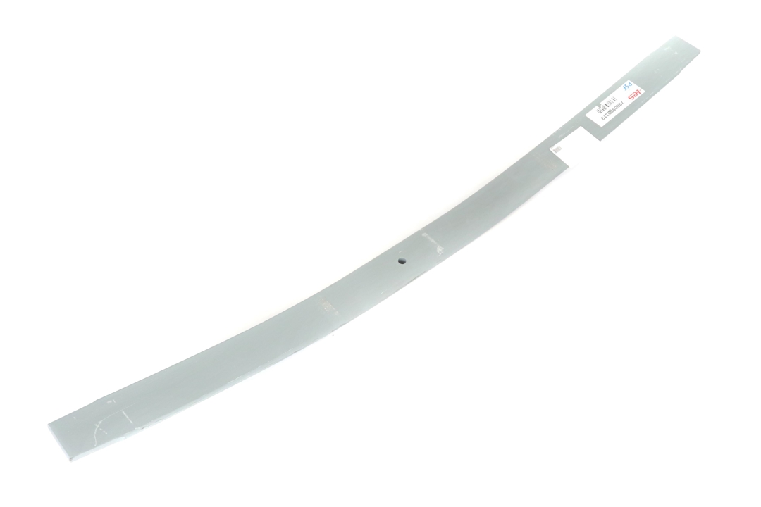 7300800319 Tes Leaf spring