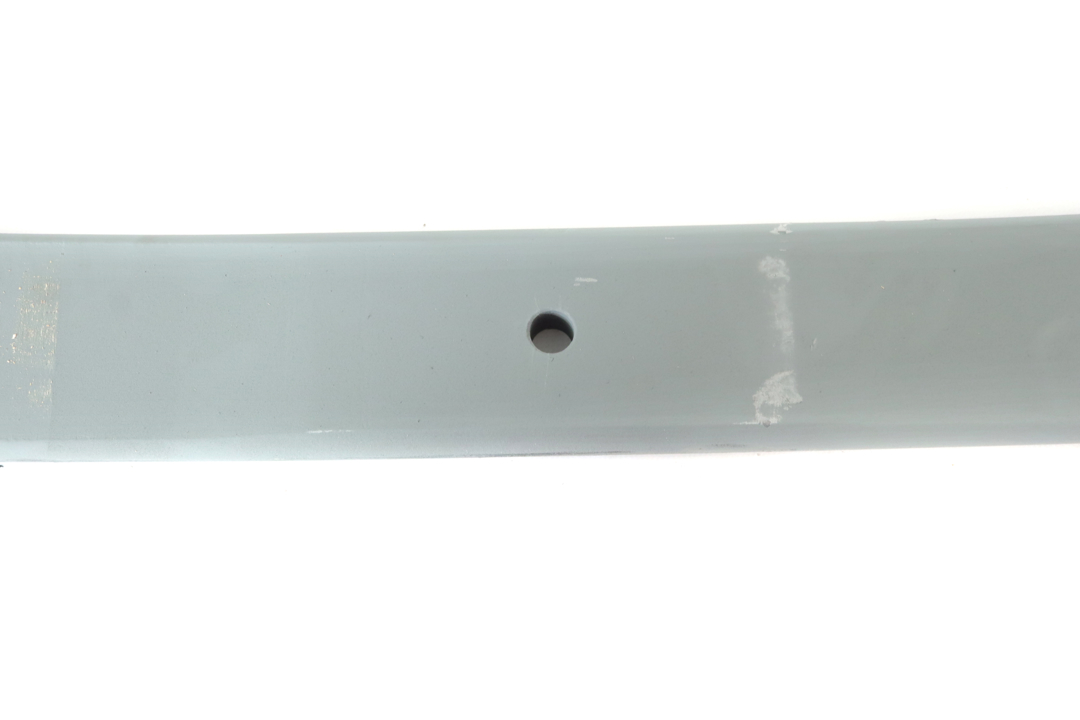 Leaf spring Tes 7300800319