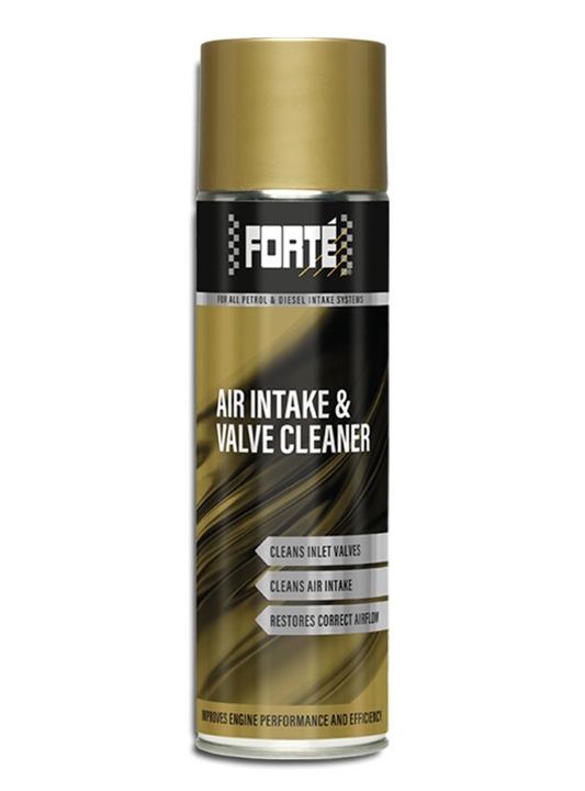 J09410 Forte Forte Air Intake & Valve Cleaner, 500 ml