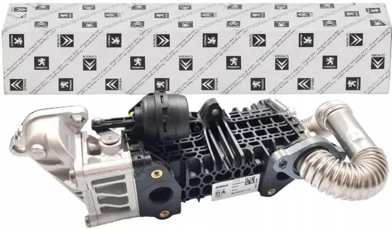 9813050280 Citroen/Peugeot Exhaust gas cooler