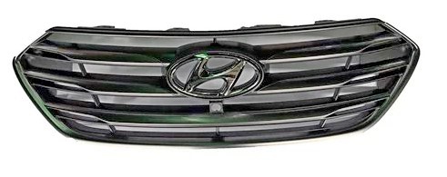 Radiator grille Hyundai: 863502WBD0 Hyundai/Kia Grille radiator