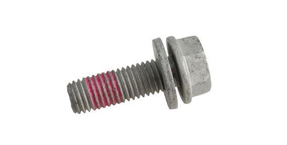 T4A16359 Jaguar Bolt