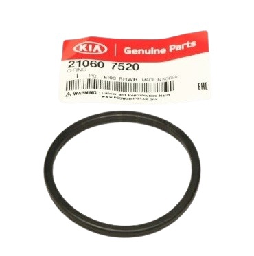 210607520 Hyundai/Kia O-ring