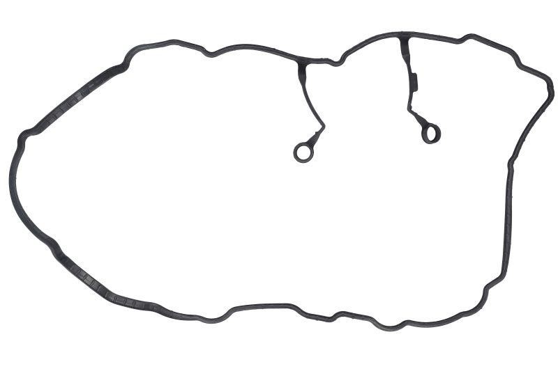 Rocker cover seal KIA Soul (Kia Soul): 224412E700 Hyundai/Kia Rocker cover gasket