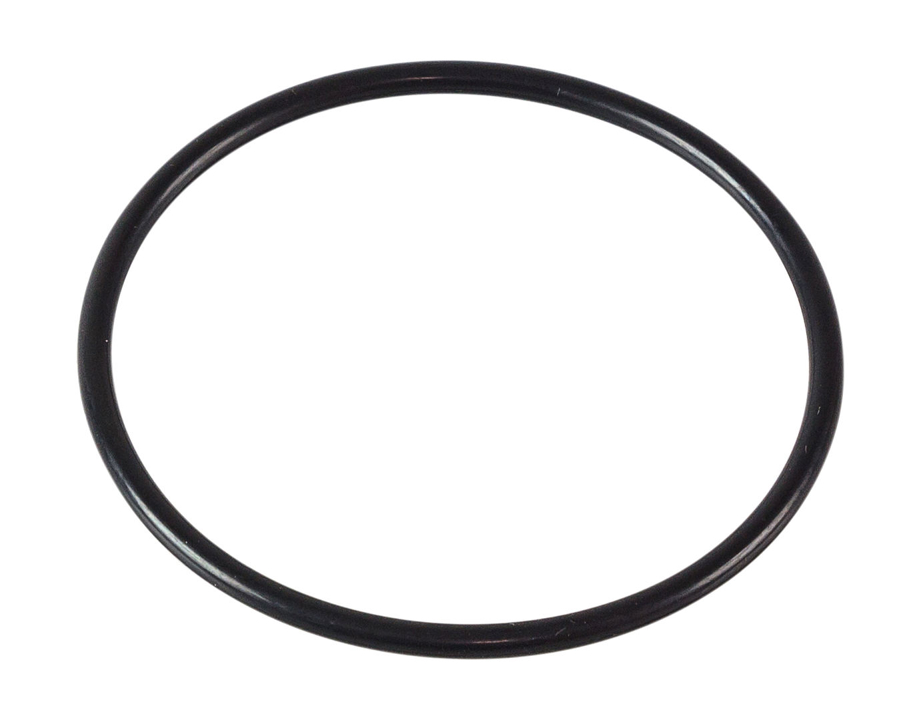 256413A001 Hyundai/Kia O-ring