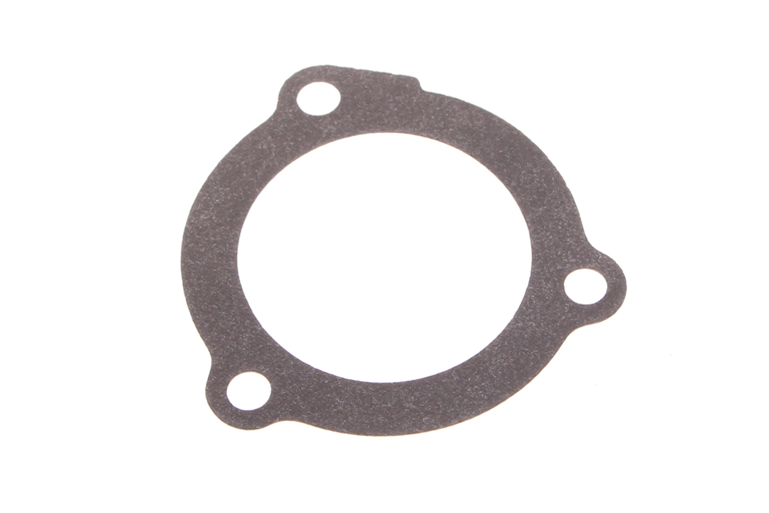 1890572 Eps Termostat gasket