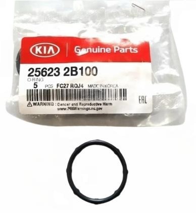 256232B100 Hyundai/Kia O-ring