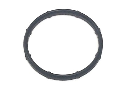 256232E000 Hyundai/Kia Thermostat O-Ring
