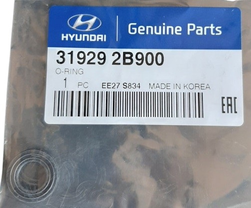 319292B900 Hyundai/Kia Fuel filter o-ring