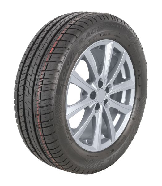 T18Y08R2025E0095 Profil Passenger Summer Tyre Profil Aqua Race Plus Evo 205/55 R16 91V (Retreaded)