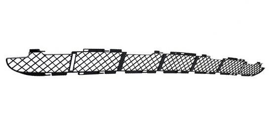 51117005800 BMW Front bumper grill