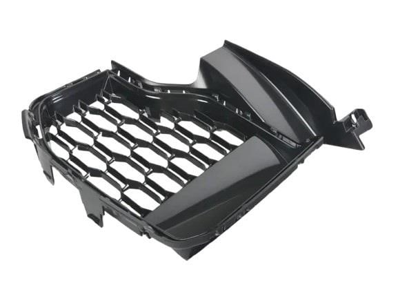 Radiator grill BMW X5: 51118069209 BMW Front bumper grille, left