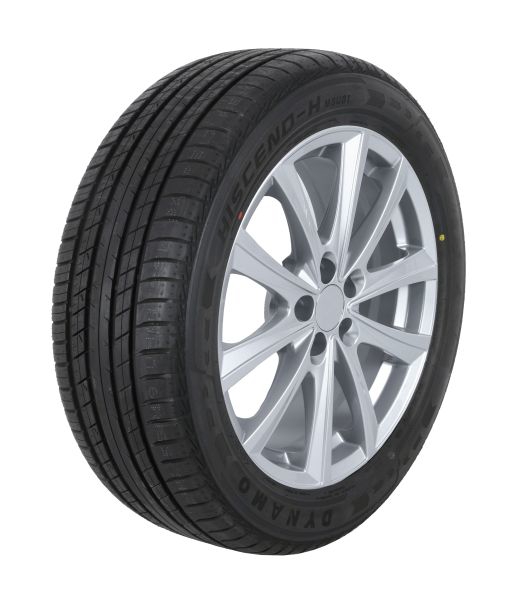 1KE3220010919 Dynamo Passenger Summer Tyre Dynamo Hiscend-H MSU01 295/35 R20 105Y XL