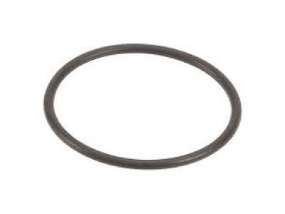 353222G700 Hyundai/Kia Fuel pump o-ring
