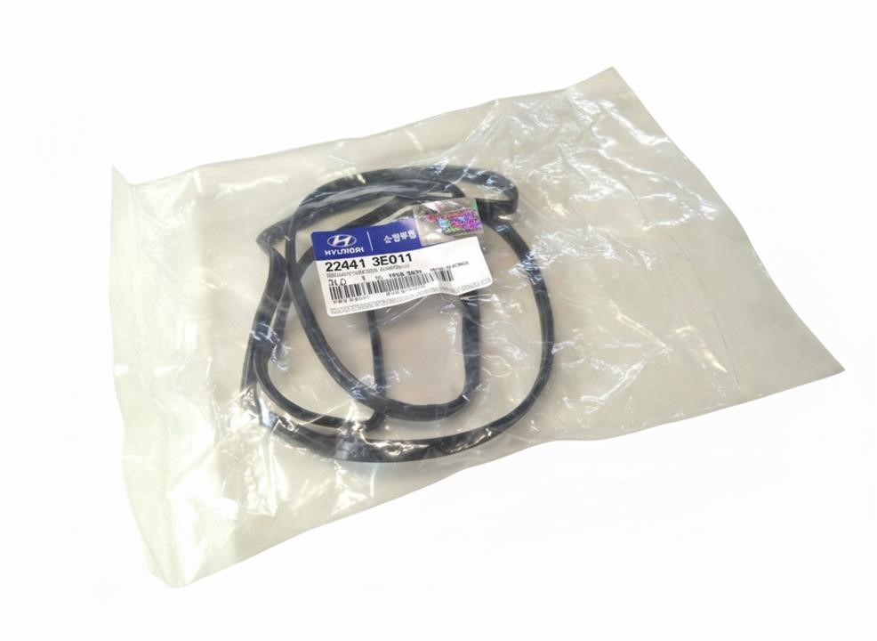 Rocker cover seal KIA Opirus (Kia Opirus): 224413E011 Hyundai/Kia Rocker cover gasket