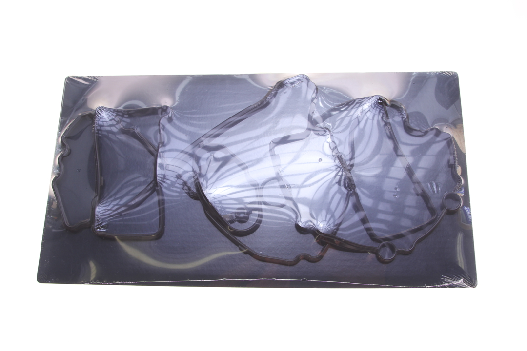Jp Group 1419200900 Rocker cover gasket 1419200900 1419200900 Jp Group Rocker cover gasket