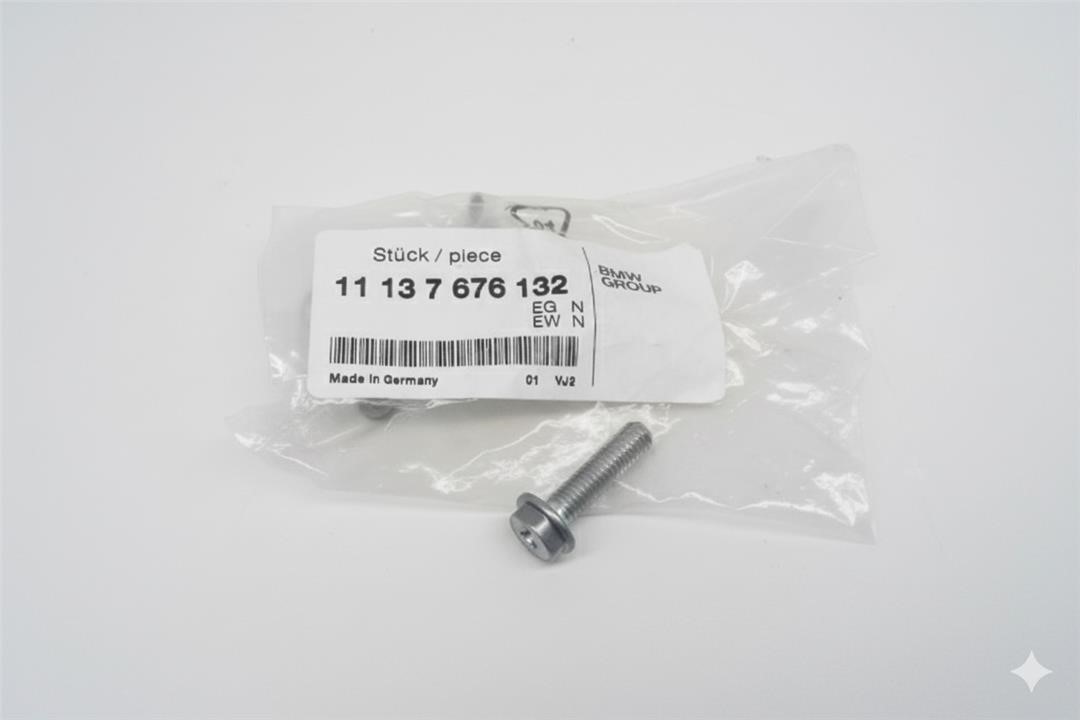 11137676132 BMW Screw
