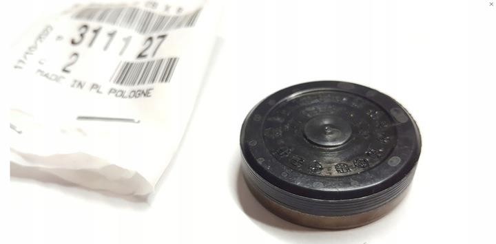 311127 Citroen/Peugeot Plug