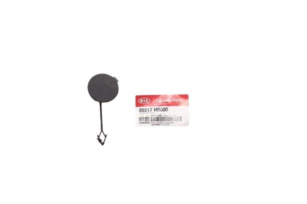 Plug towing hook Hyundai/Kia 86517 H8000