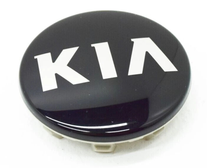 529603W200 Hyundai/Kia Alloy wheel center cap