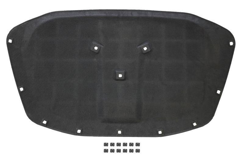 57110 AIC Germany Noise insulation of the hood