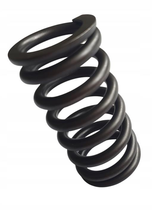 9659673480 Fiat/Alfa/Lancia Valve spring