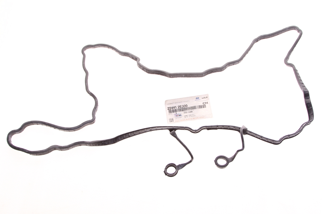 Rocker cover gasket Hyundai/Kia 22441 2E300