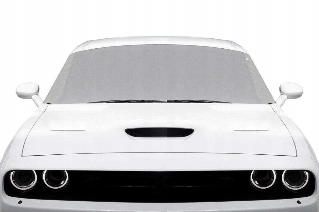 Buy CarPassion 100111 at a low price in United Arab Emirates!