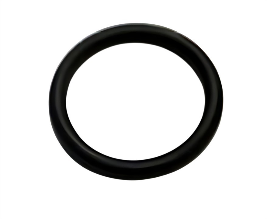 55555984 General Motors Thermostat Housing Gasket