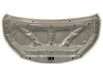 F5100BJ0MA Nissan Hood