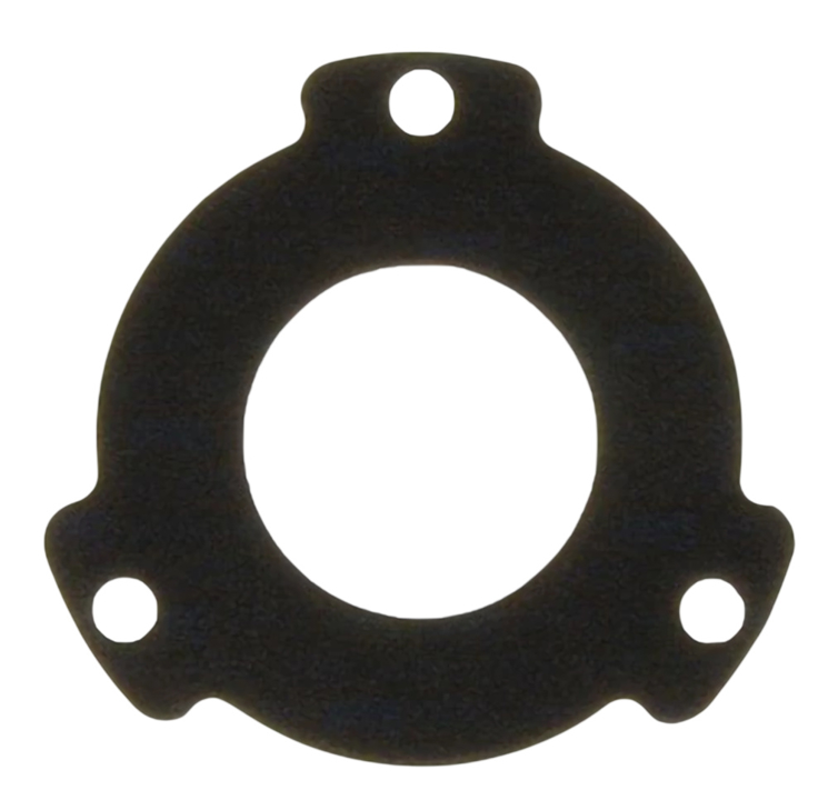 192728 Citroen/Peugeot Fuel pump gasket