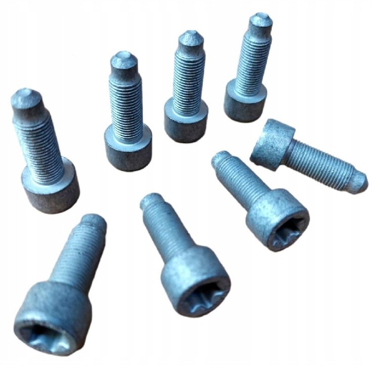 411014510 Luk Flywheel mounting bolts, kit