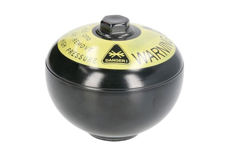 0265202070 Bosch Pressure Accumulator, braking system