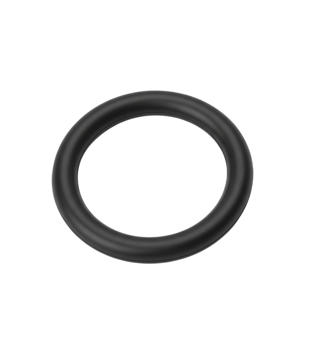13641743576 BMW Fuel injector O-ring
