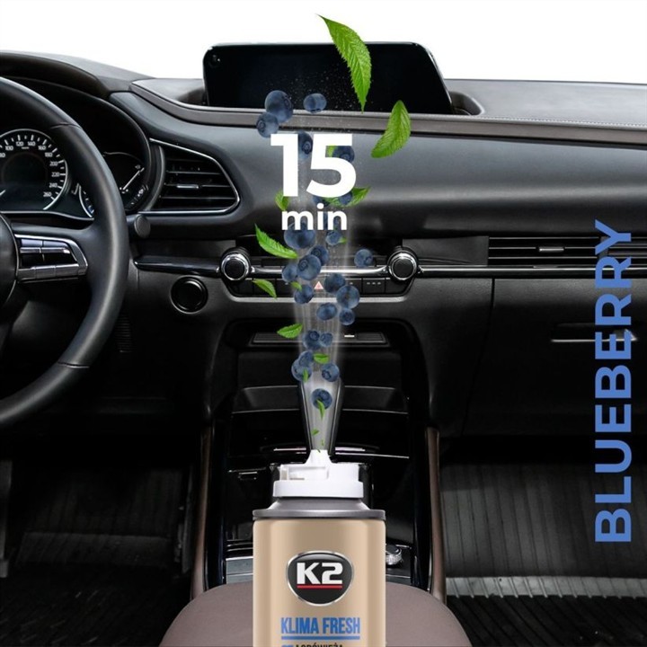 Fresh Blueberry air conditioner cleaner, 150 ml K2 K222BB