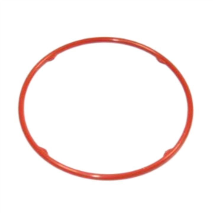 16781AD205 Nissan Fuel pump o-ring