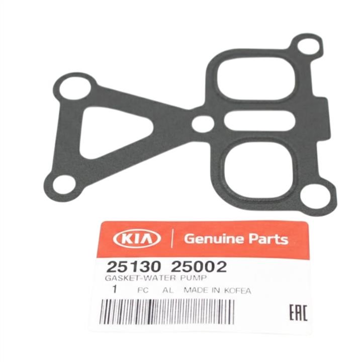 2513025002 Hyundai/Kia water pump gasket