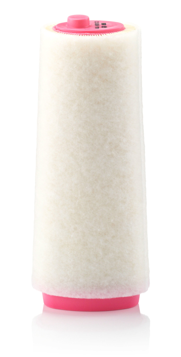 Air filter Rover: C151051 Mann-Filter Air filter