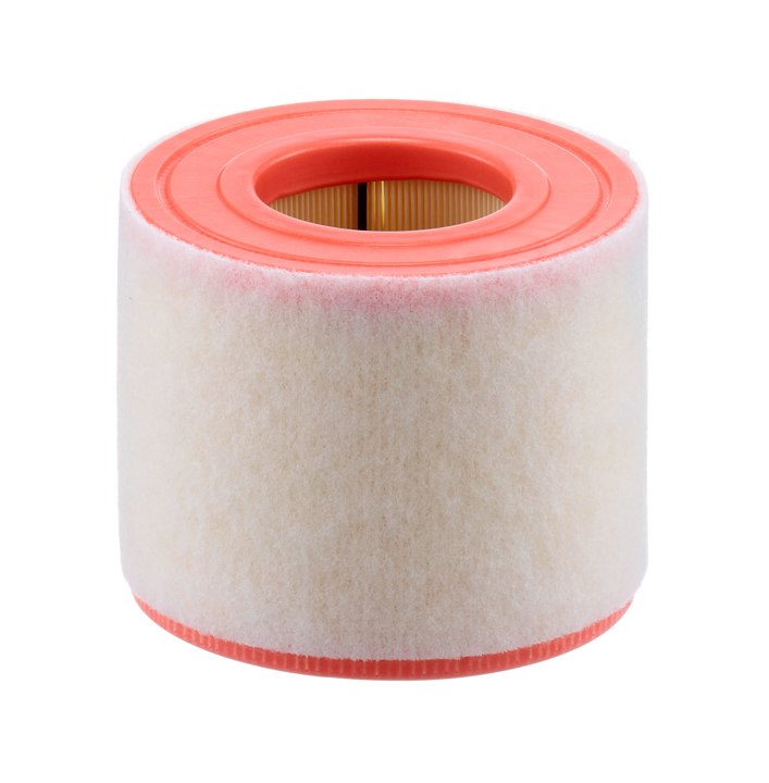Mann-Filter C 15 010 Air filter C15010 C15010 Mann-Filter Air filter